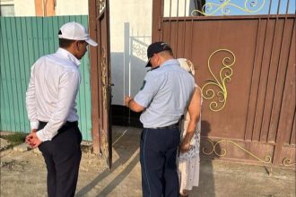 518320783 3982608512005877 4637589167701926304 n