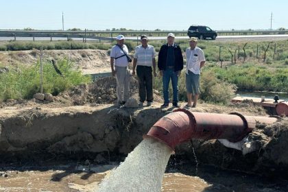 518393769 2089025334961248 380155237361774671 n