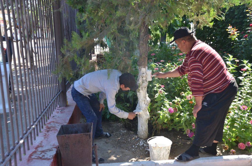 526491970 2099556077241507 2155859763696959752 n