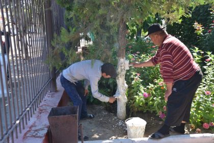 526491970 2099556077241507 2155859763696959752 n