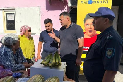 529338279 4003485096584885 5849330408611723848 n