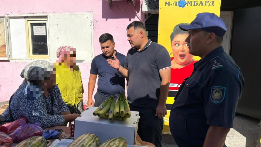 529338279 4003485096584885 5849330408611723848 n