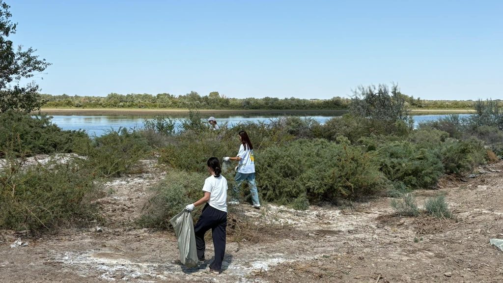 529727701 4004469683153093 6586806685268908579 n