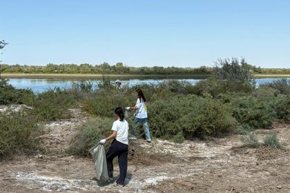 529727701 4004469683153093 6586806685268908579 n