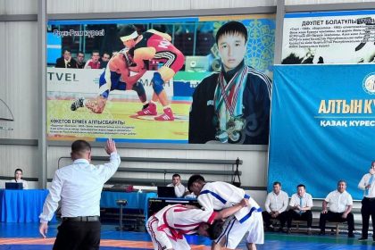 536246276 2115060005691114 1649099168247468938 n