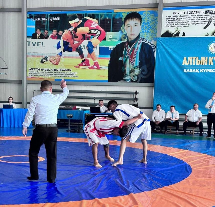 536246276 2115060005691114 1649099168247468938 n