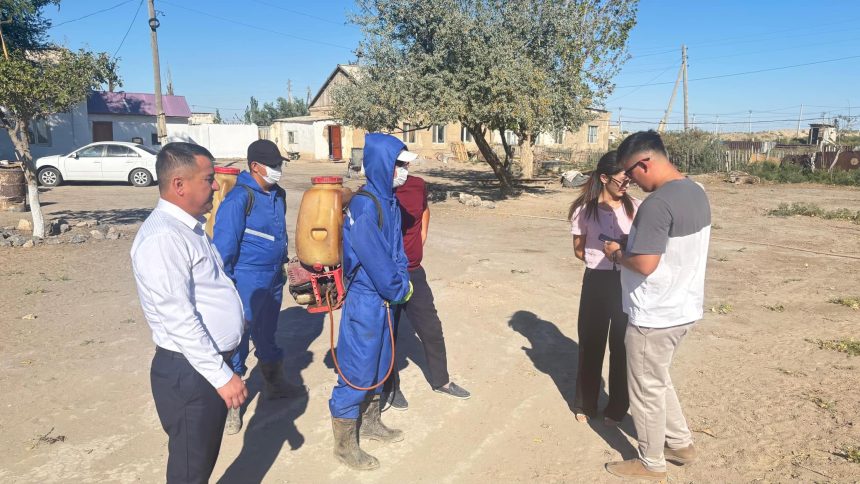 540020998 4023258064607588 9060777030278145569 n