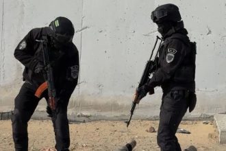 whatsapp image 2026 04 15 at 19.56.12