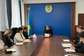 whatsapp image 2026 04 17 at 19.11.13 1