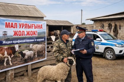 whatsapp image 2026 04 17 at 23.40.26