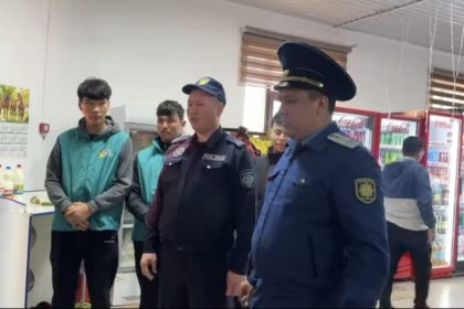 whatsapp image 2026 04 17 at 23.50.13